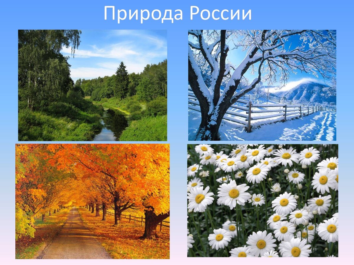 Слайды с изображением природы России,