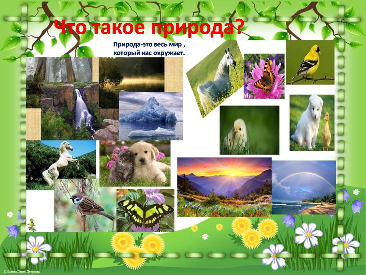 Проект о природе