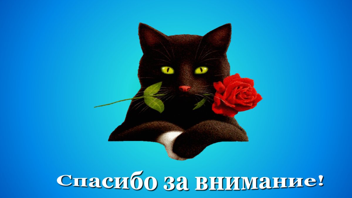 Спасибо за внимание для презентации кот