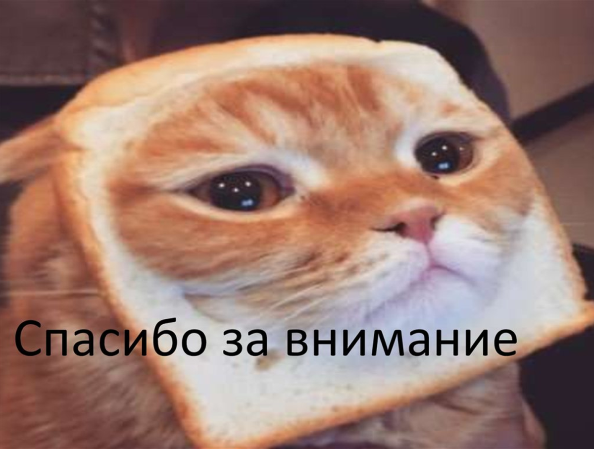 Спасибо за внимание кот
