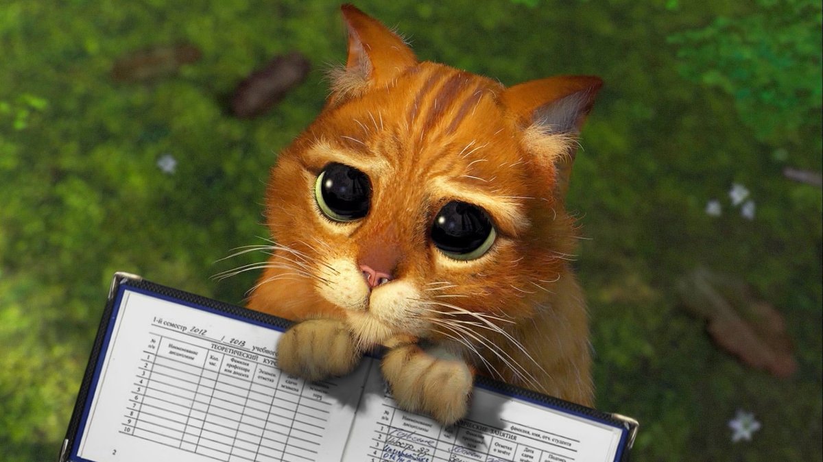 Кот из Шрека с зачеткой