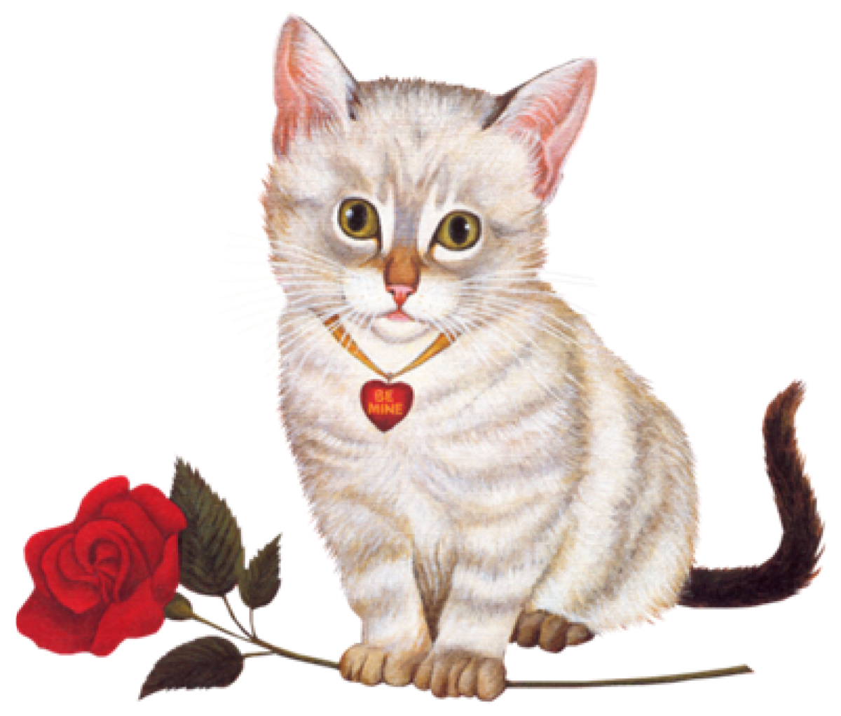 Спасибо кот