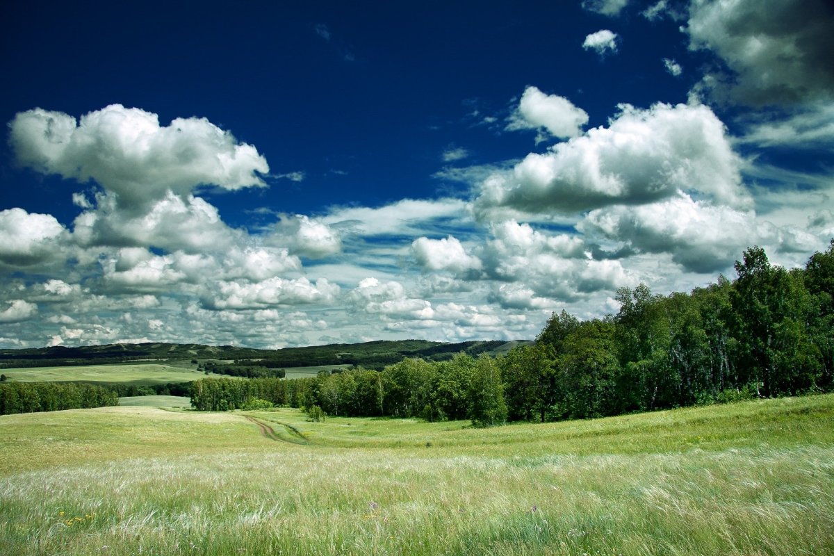 Родина природа