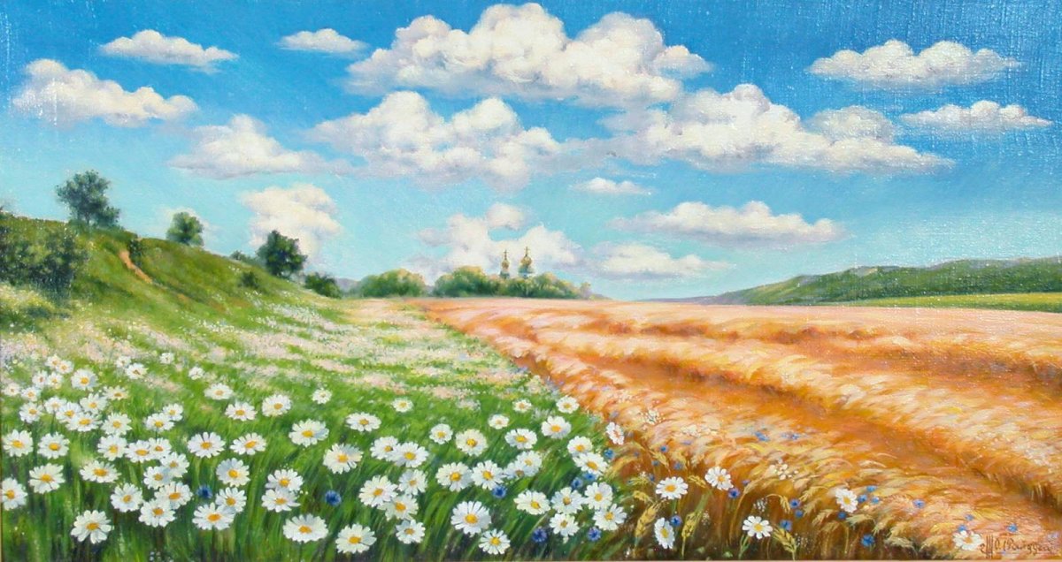 Пейзаж Ромашковое поле