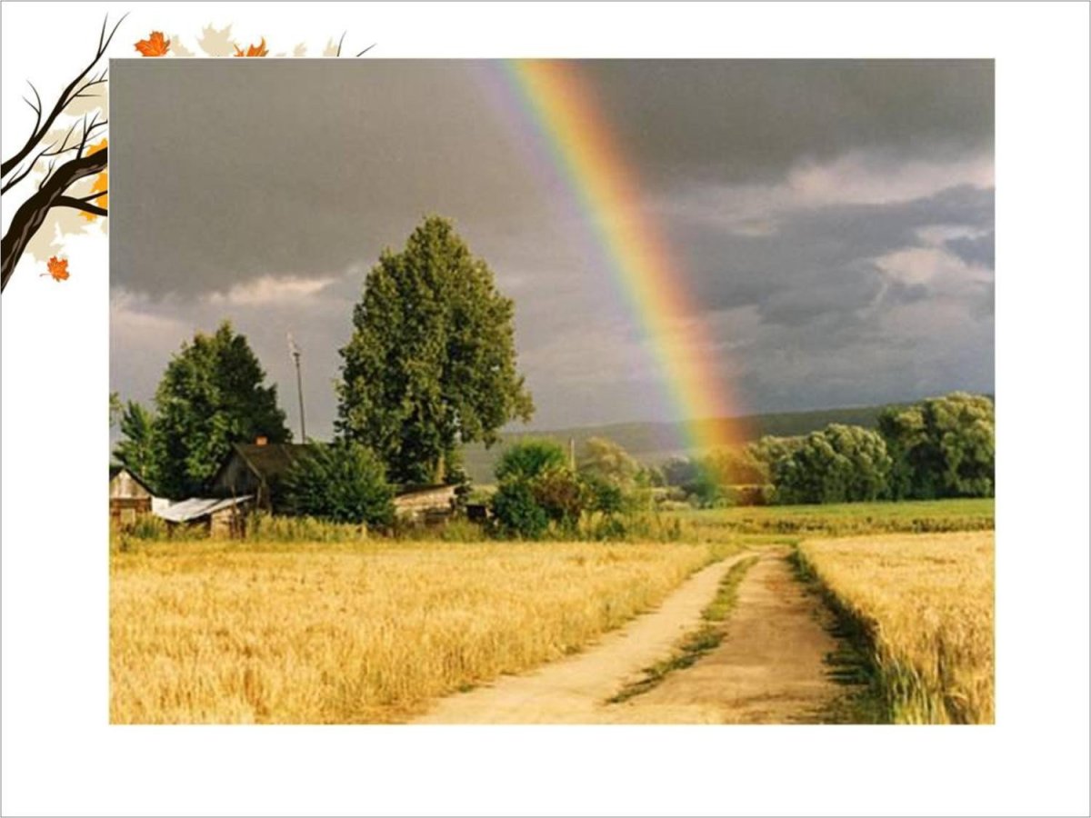 Родина Россия