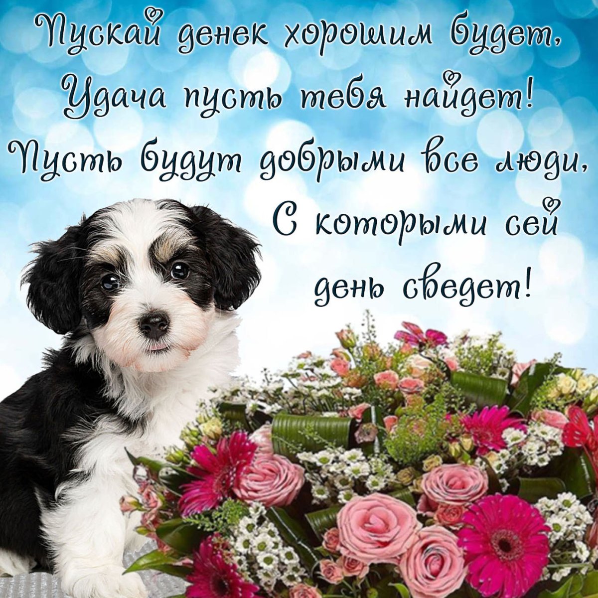 Открытки с хорошими пожеланиями