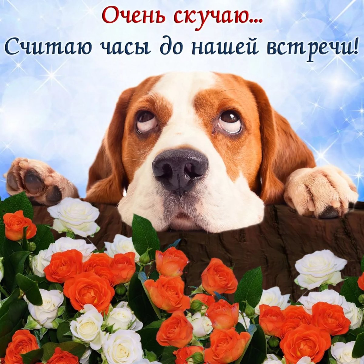 Скучаю картинки