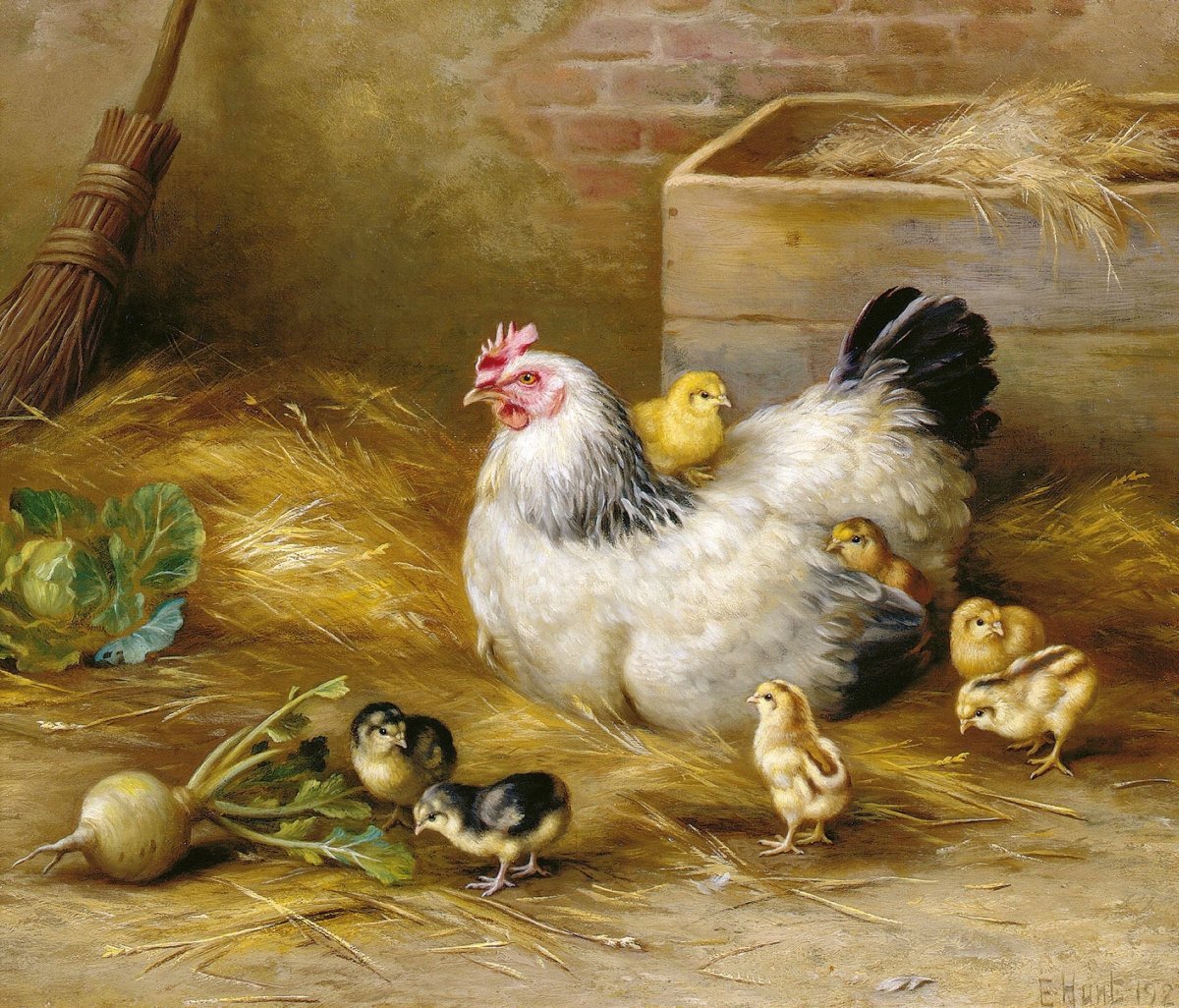 Курочка с цыплятами картинки для детей