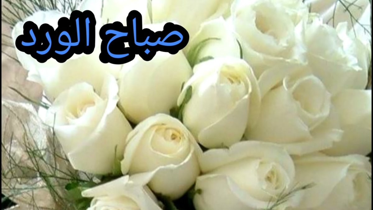 С днём рождения цветы белые розы