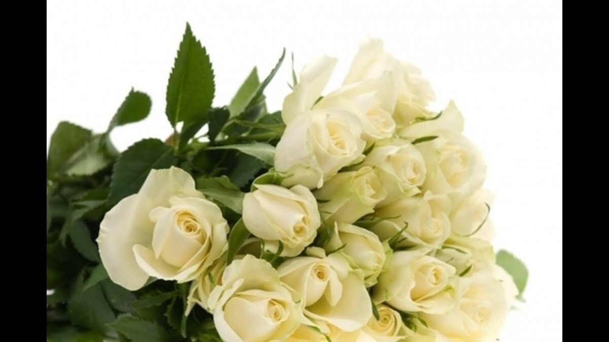 Белые розы для Леночки