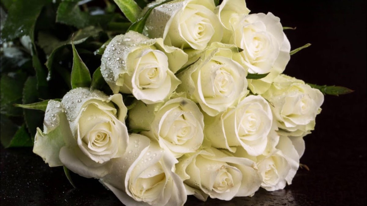 Шикарный букет белых роз