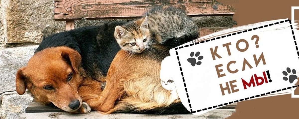 Помощь животным