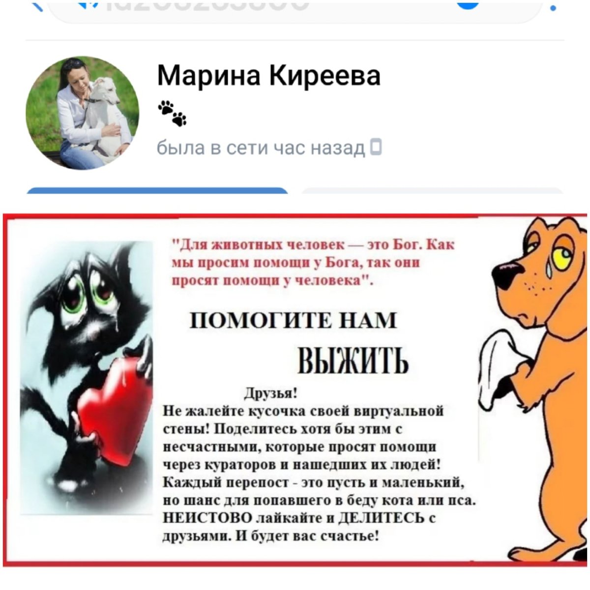 Помогите животным