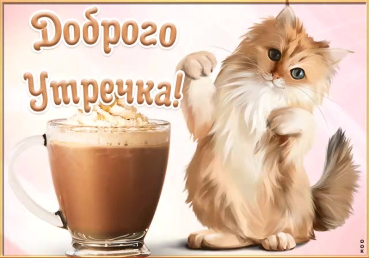 С добрым утром котики