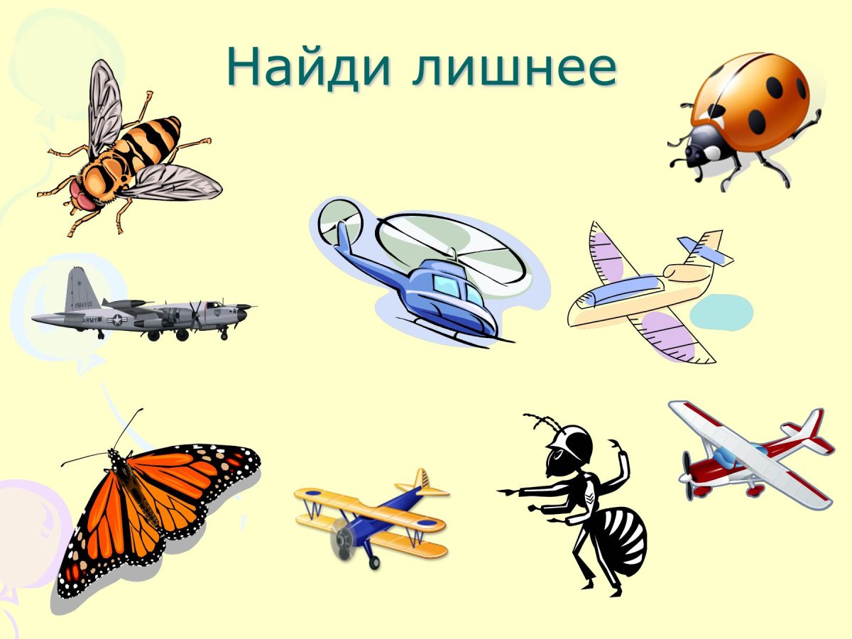 Насекомые Найди лишнее