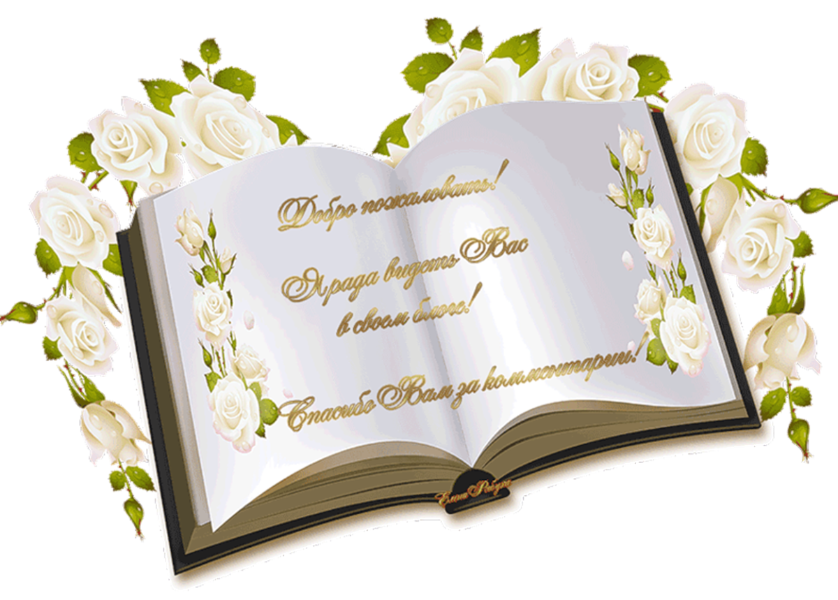 Гостевая книга картинки